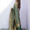 Banarasi Patola Saree - Image 3