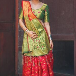Banarasi Patola Saree