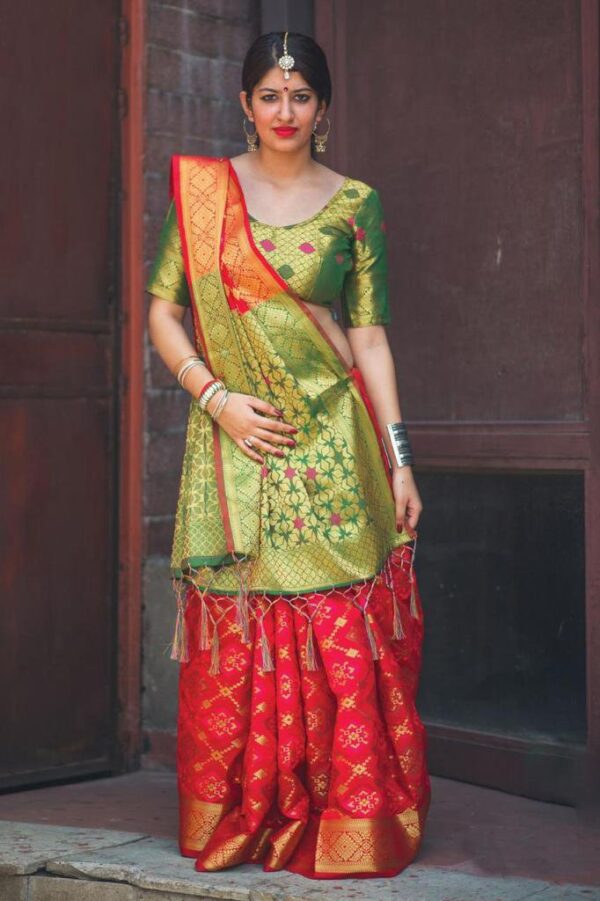 Banarasi Patola Saree