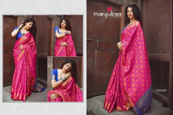 Banarasi Patola Saree