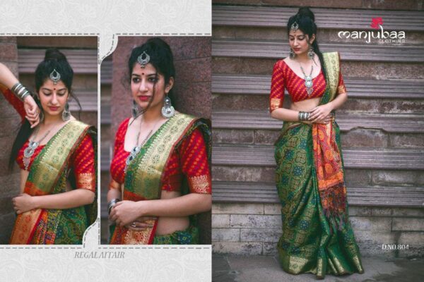 Banarasi Patola Saree