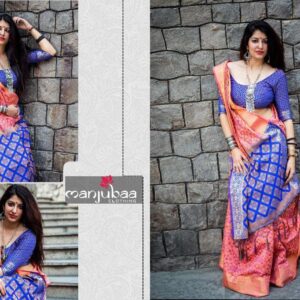 Banarasi Patola Saree