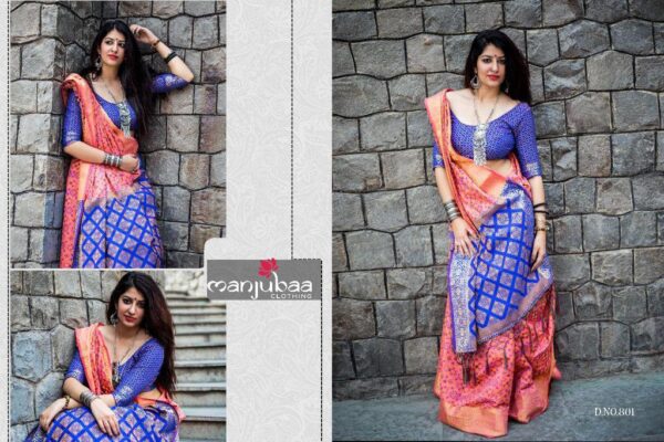 Banarasi Patola Saree