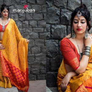 Banarasi Patola Saree