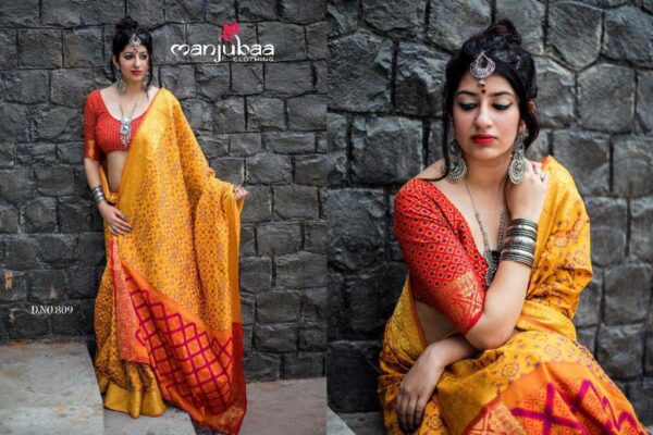 Banarasi Patola Saree