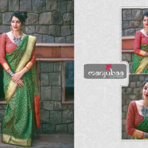 Banarasi Patola Saree