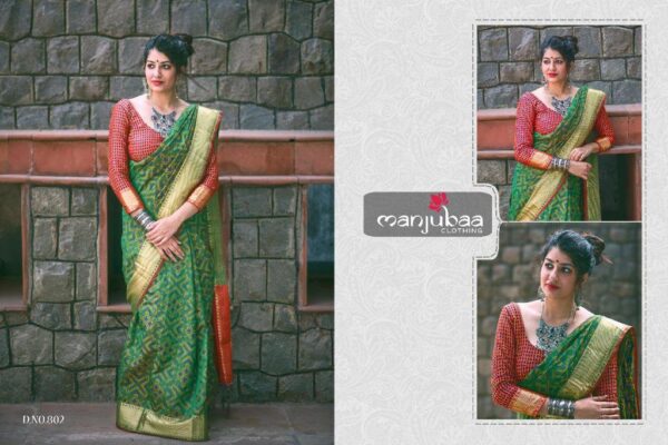 Banarasi Patola Saree
