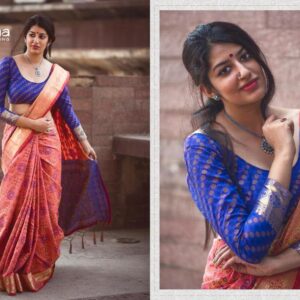 Banarasi Patola Saree