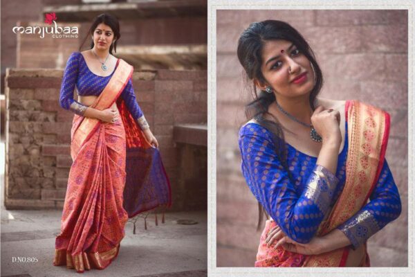 Banarasi Patola Saree