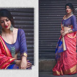 Banarasi Patola Saree