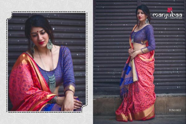 Banarasi Patola Saree