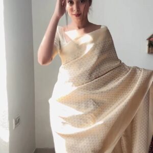 Ready To Wear Saree