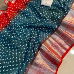 Kanchipuram Orgenza Jacquard Pigment Full Work Saree