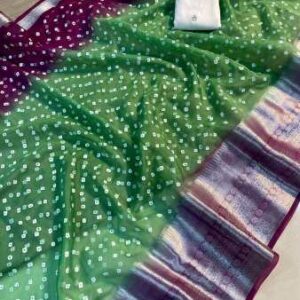Kanchipuram Orgenza Jacquard Pigment Full Work Saree