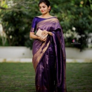 Kanchipuram Silk Saree With Beautiful Border And Rich Pallu