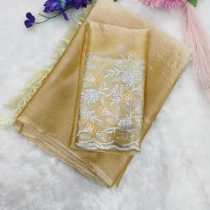 Stylish Burberry Jimmy Choo Saree