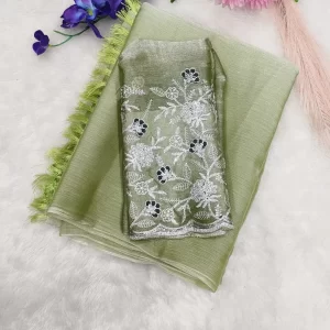 Stylish Burberry Jimmy Choo Saree