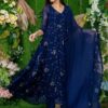 Fox Georgette Gown - Image 7