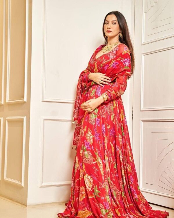 Anarkali Gown - Image 6