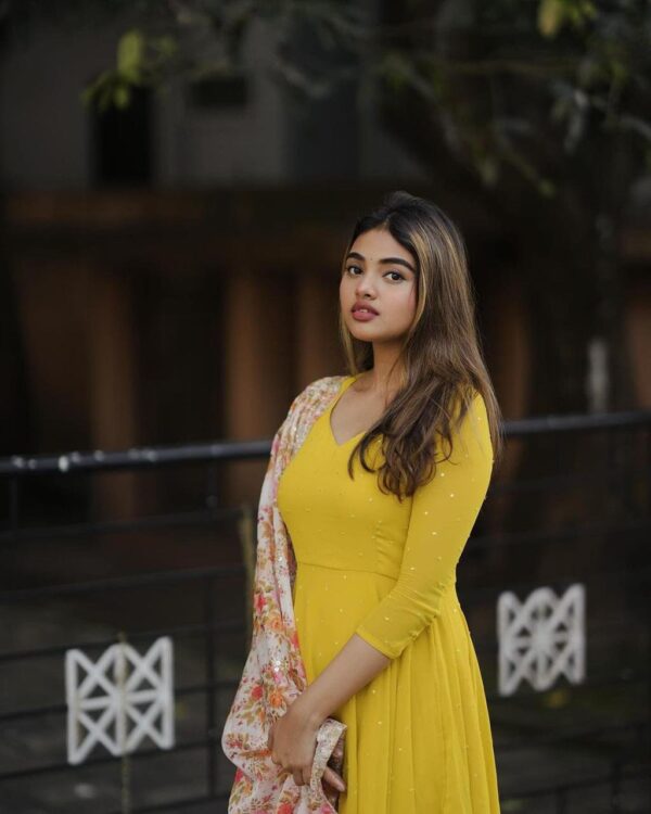 Georgette Gown With Dupatta - Image 9