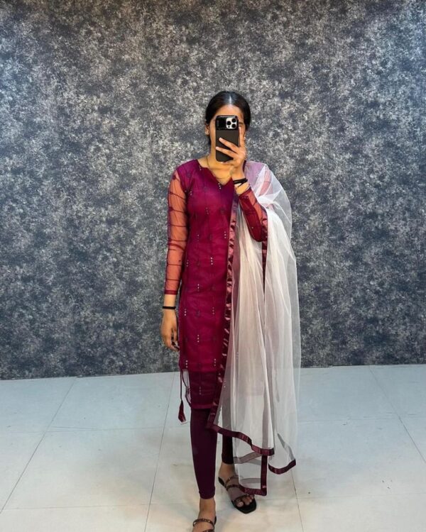 Presenting New Design Net Kurti - Image 3