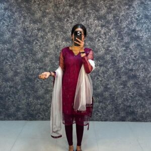 Presenting New Design Net Kurti