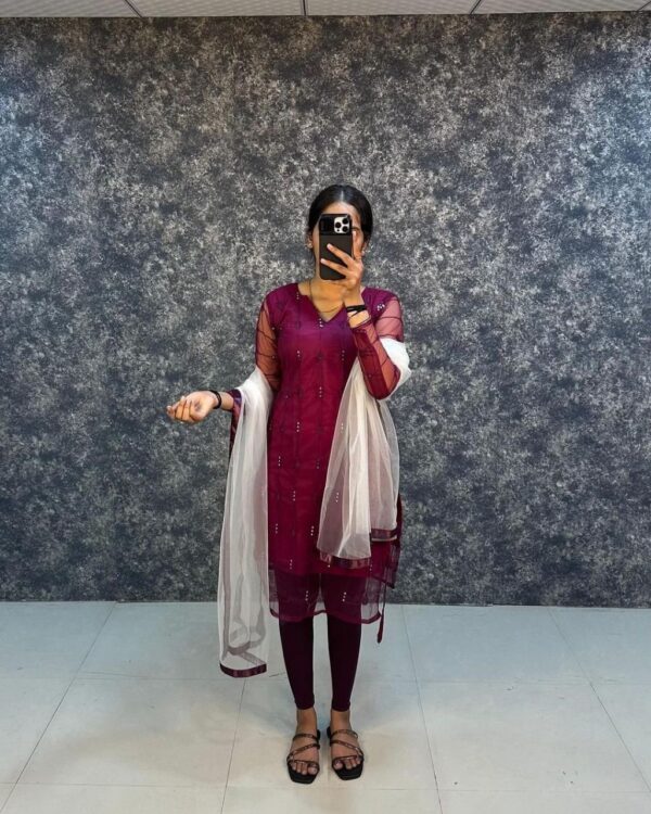 Presenting New Design Net Kurti